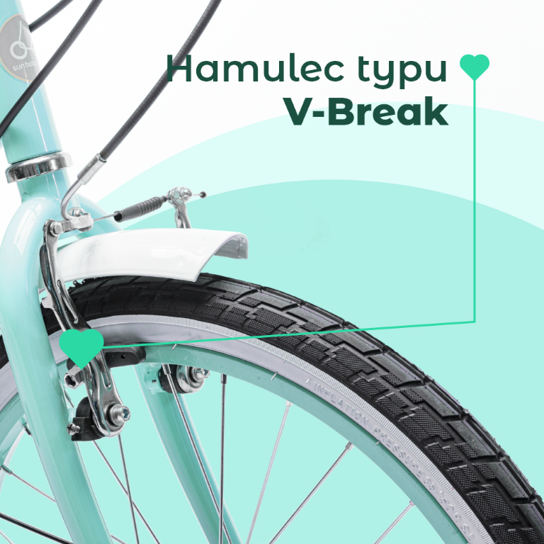 1009aec48384ae404289bbc682d8ef6d