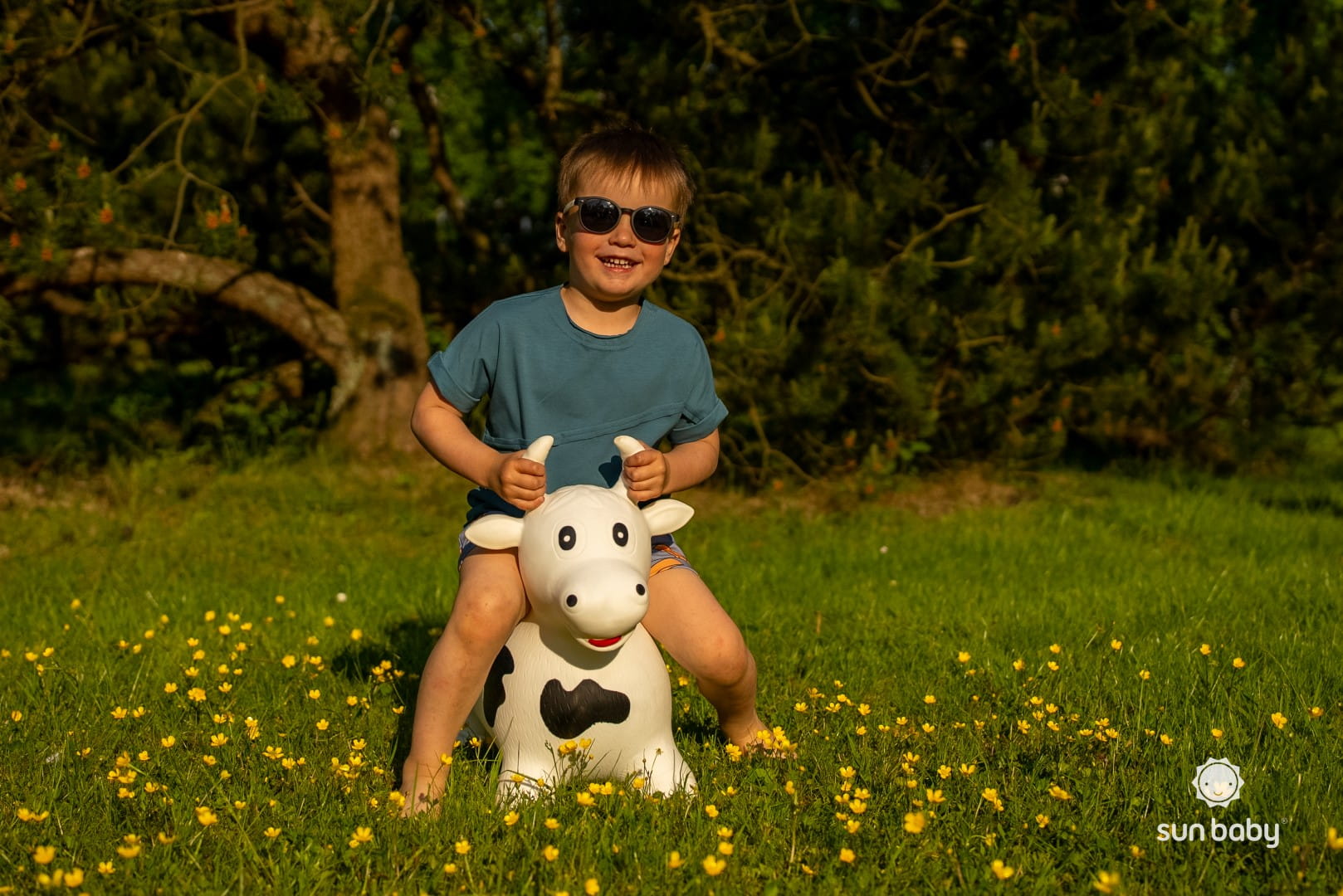 1a6cf3645a818afa2c0b7a51688261f3