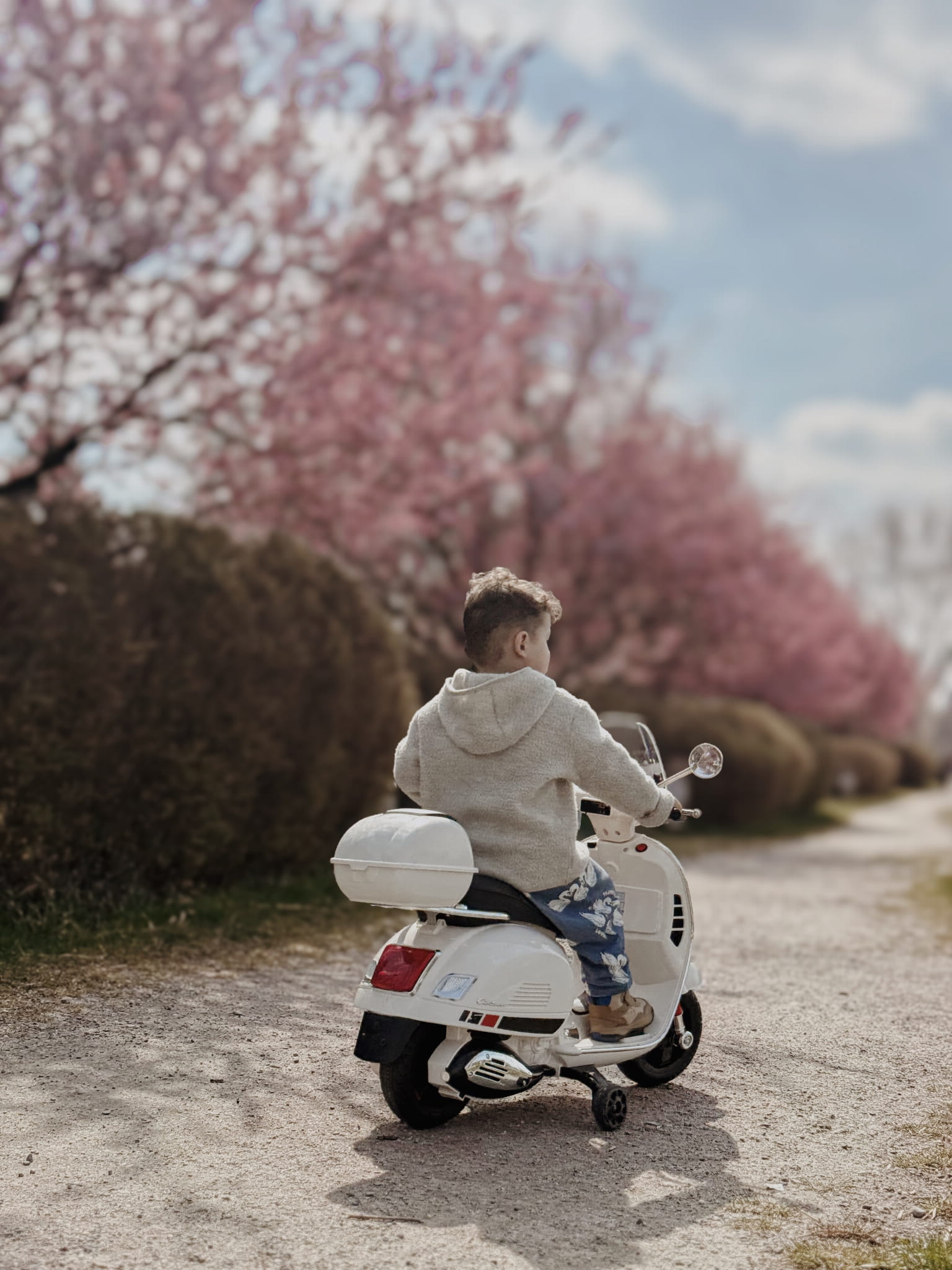 1d9d1348751246b7fd3250b90aebc494