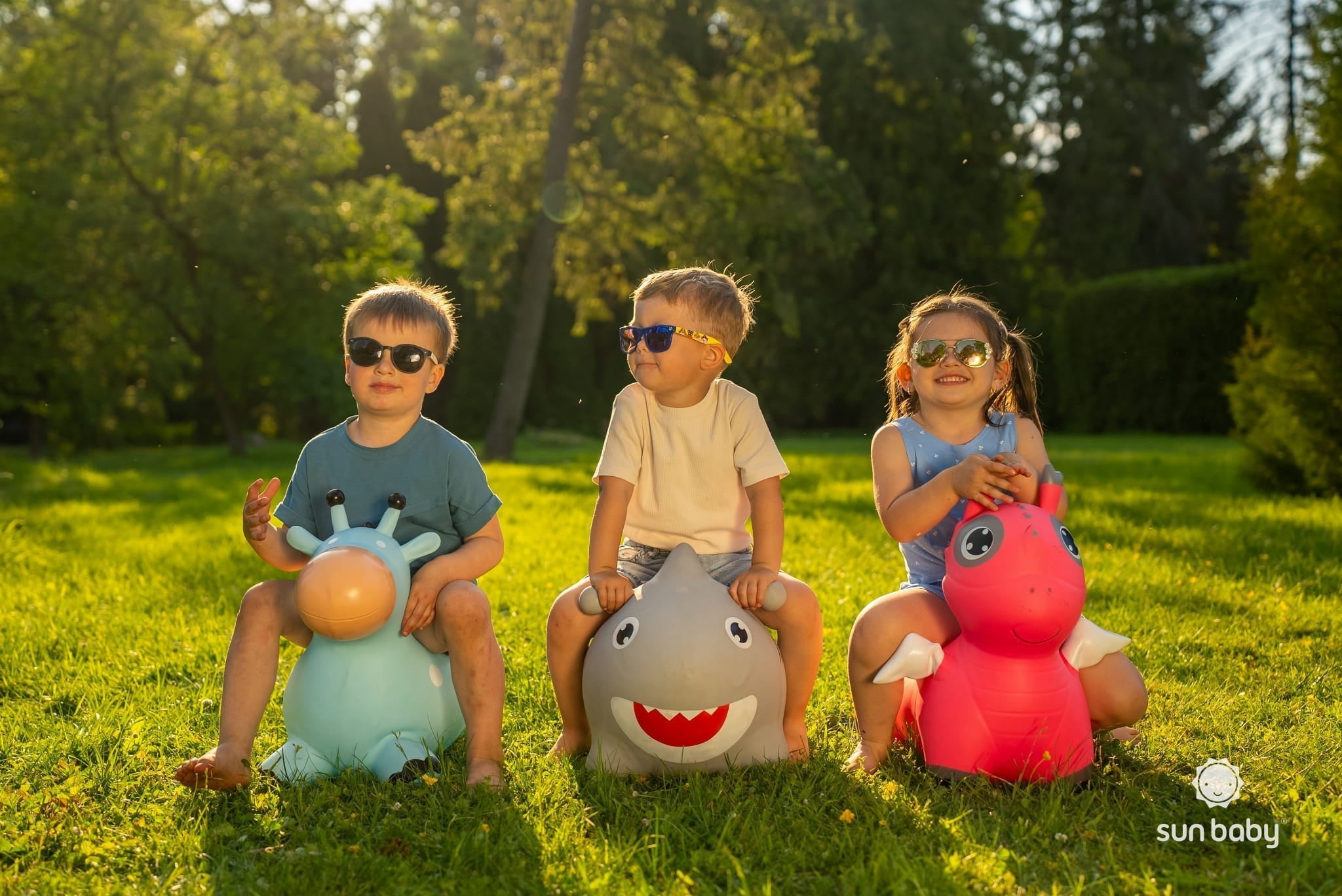 a2df5e176d949dafb649ff4c3a9e3e2b