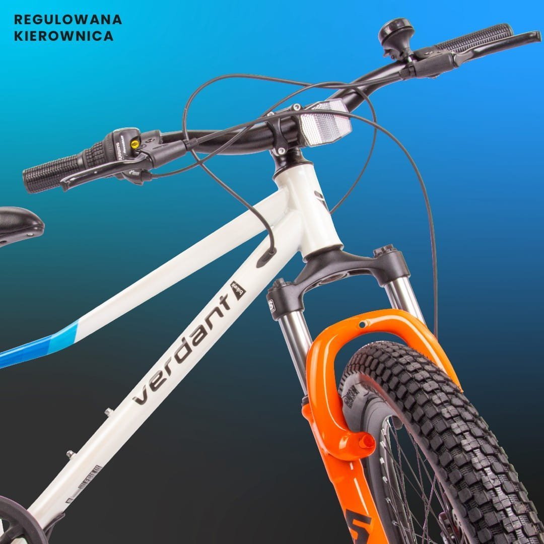 20-Zoll-Fahrrad für Jungen, leichtes Mountainbike mit Shimano 6-Gang-Schaltung, Modell Verdant Calix