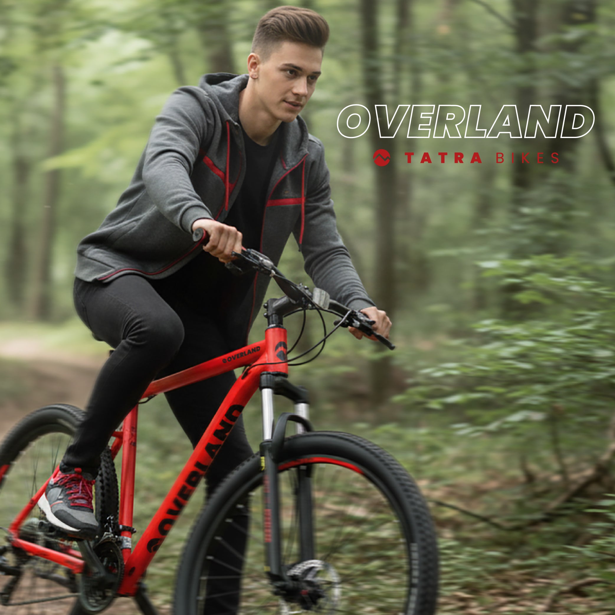 Mountainbike MTB 29 Zoll, KENDA Shimano Aluminium, leicht, 21 Gänge, Stoßdämpfer, Scheibenbremsen, Rahmengröße L, 21 Zoll, Tatra Bikes Overland, rot matt 