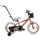 16-Zoll-Kinderfahrrad für Jungen, Lenker, Stützräder, Korb, Verdant Rowan Cappuccino