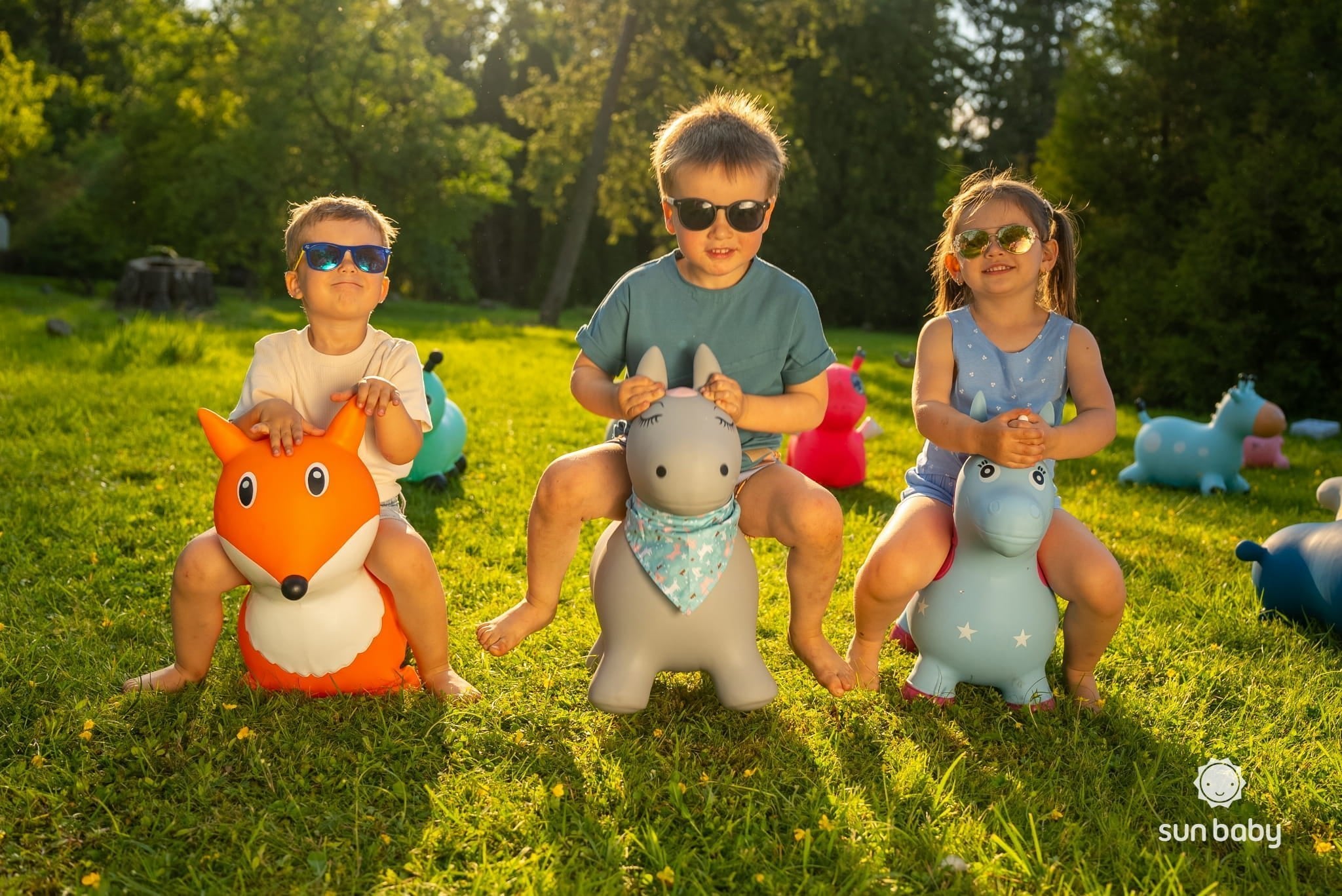 42215b82ec0796f0b47249ffa8f9d877