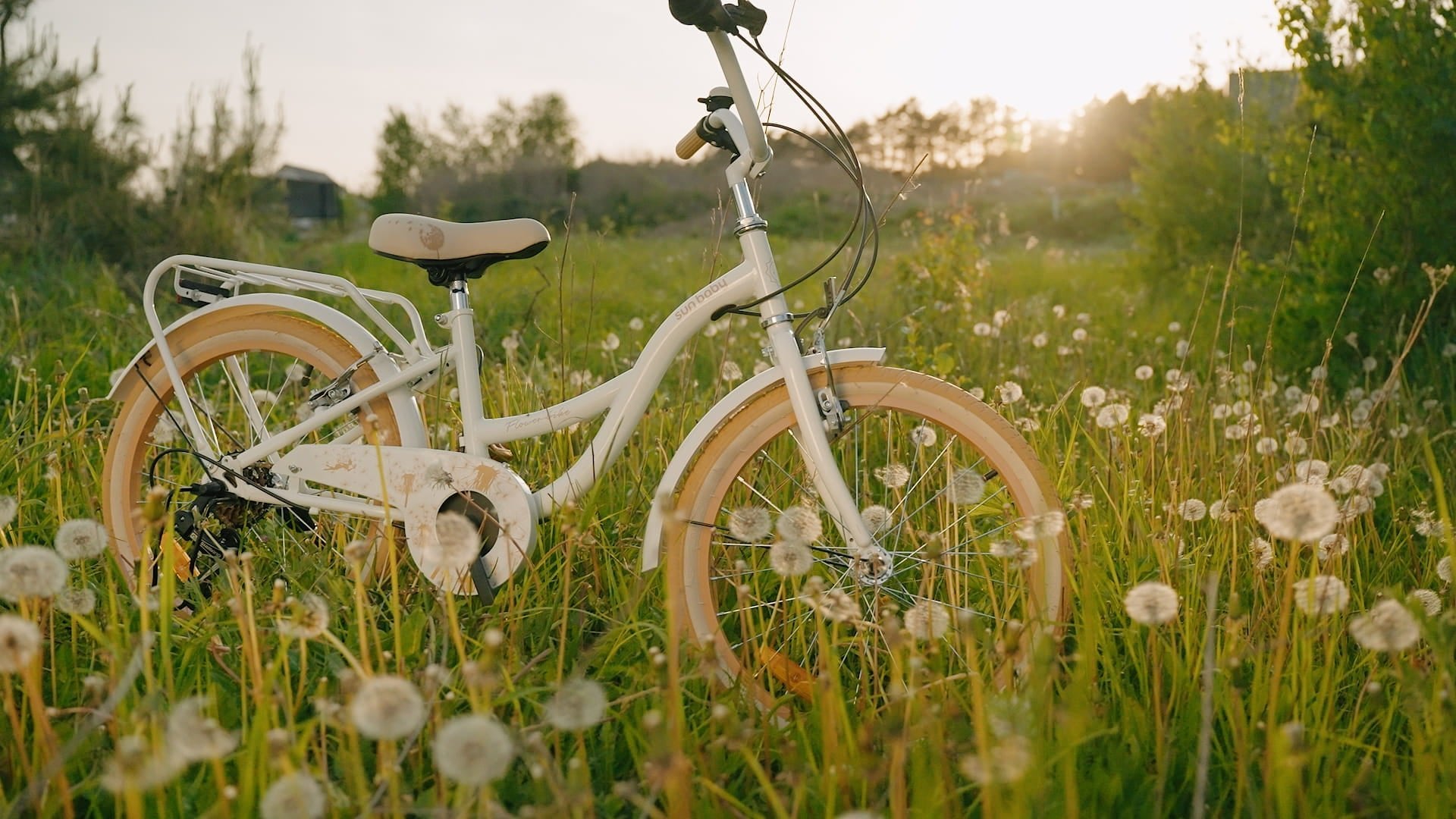 36dee2d3e28facd6d9dc246510df7c59