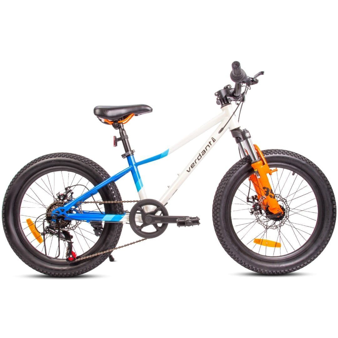 20-Zoll-Fahrrad für Jungen, leichtes Mountainbike mit Shimano 6-Gang-S – SunBaby