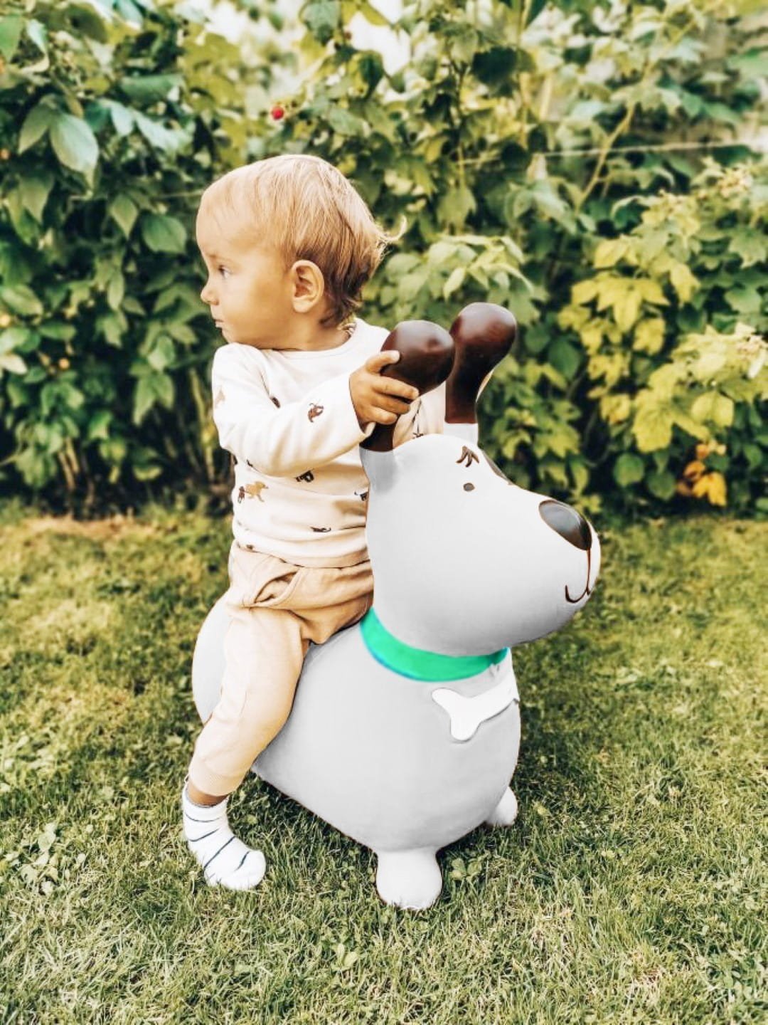 9be37083c224a96d497d36657e0170c9