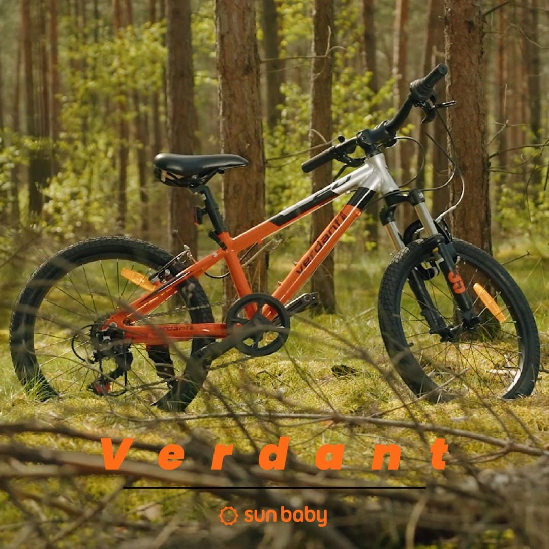 Rower 20 cali  dla chłopca ALU, lekki MTB Shimano 6 biegów Verdant Brier