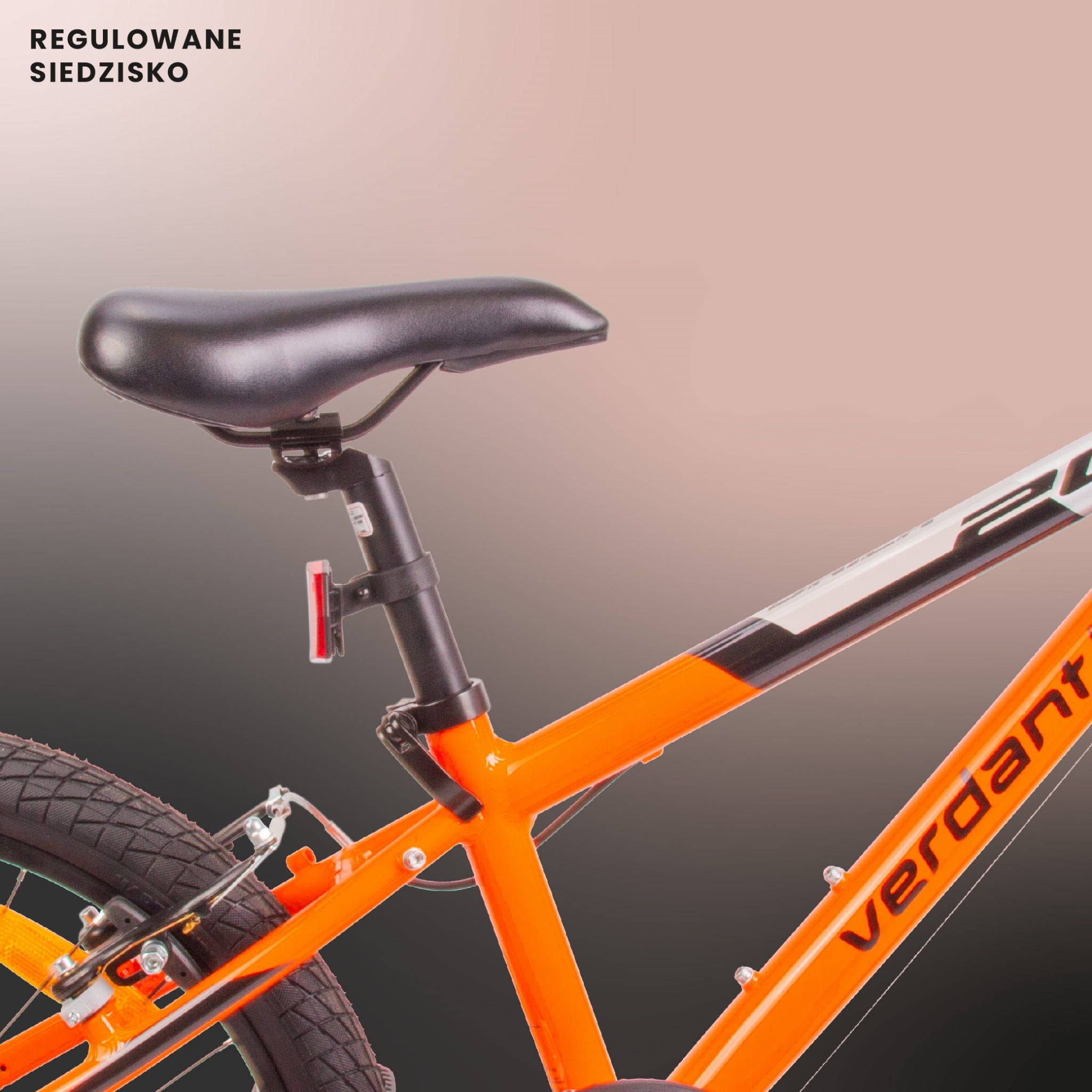 Rower 20 cali  dla chłopca ALU, lekki MTB Shimano 6 biegów Verdant Brier