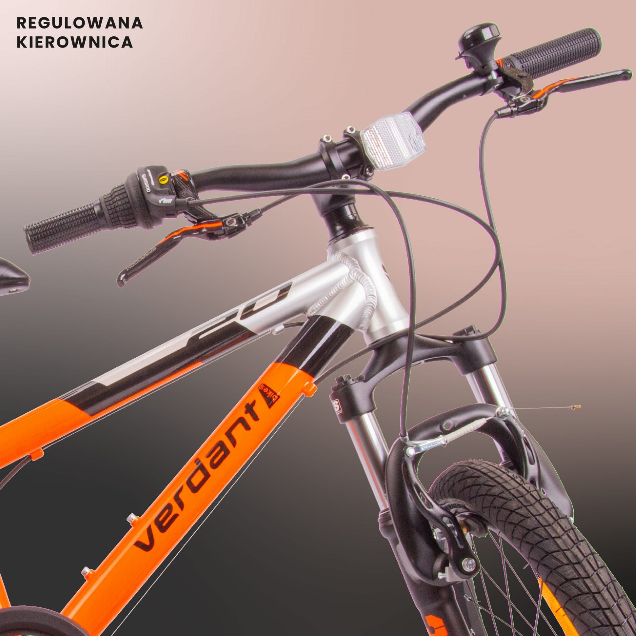 Rower 20 cali  dla chłopca ALU, lekki MTB Shimano 6 biegów Verdant Brier